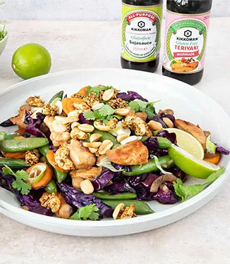 Rotkraut Stir Fry mit Sojasauce und Teriyaki Marinade (glutenfrei)